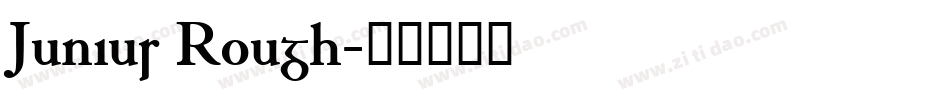 Junius Rough字体转换